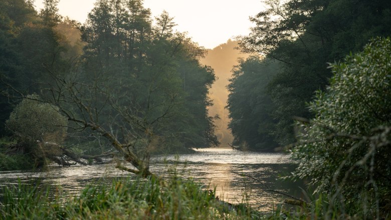 Morgenstimmung, © NP Thayatal / T. Nunner